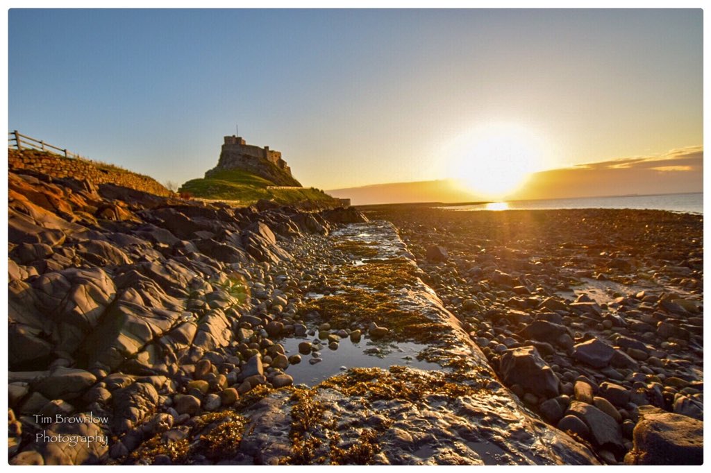 timjb69's tweet photo. Lindisfarne, this mornings Sunrise. #HolyIsland #Lindisfarne #northumbria https://t.co/UAOhrFNU0y
