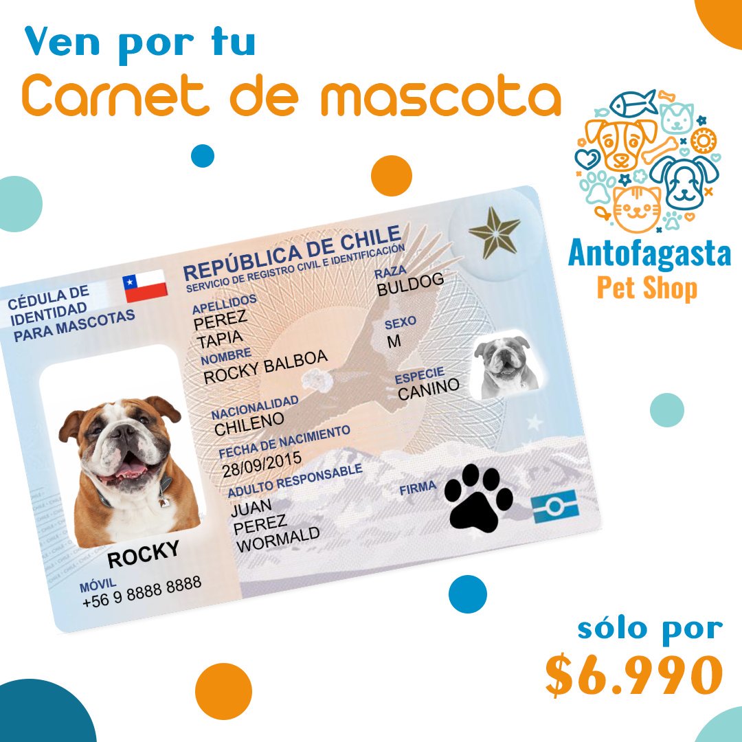 antofapetshop's tweet photo. Amigos! Vengan a Antofagasta Pet Shop por su carnet de mascota!
.
Deben traer:
- Una foto digital.
- Datos de su mascota (nombre, fecha nacimiento, nro  chip si tiene, raza)
- Datos de adulto responsable (nombre, teléfono).
.
#carnetmascota #mascotas #petlover #antofagasta #chile https://t.co/MWLG9ZvYBB