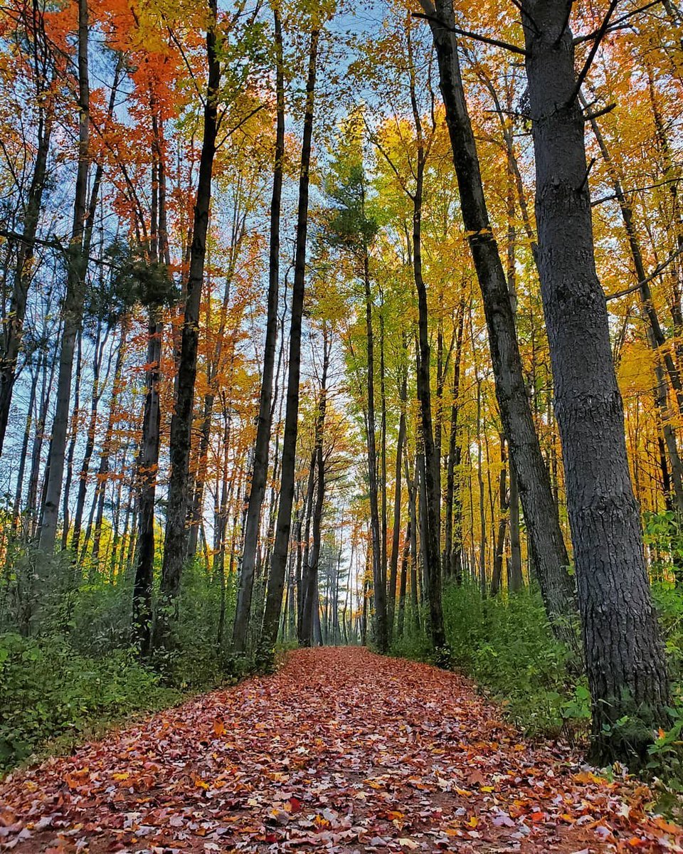 Do you think Mother Nature is speeding up fall this year? Enjoy it while it lasts!

🍂🍎🎃Get inspired here: bit.ly/StePoFallBucke…

📷: krey . life
