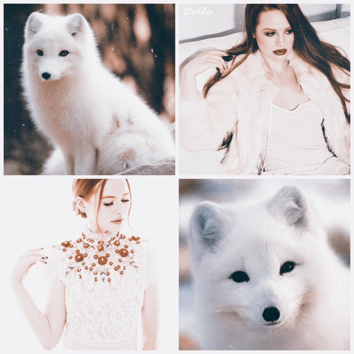 Cheryl Blossom

Snow Fox Hybrid AU / AB(O) verse

- nature lover
- free spirit
- bookworm

"The cunning of the fox is as murderous as the violence of the wolf."

⠀                                                       ♡ &amp; ↻