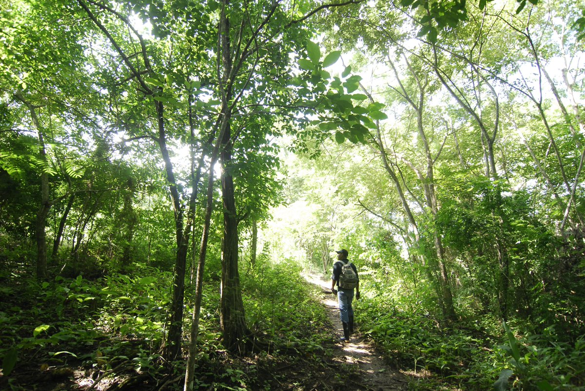 pasopacifico's tweet image. ¿Cuáles es la contribución de las áreas bajo conservación privada? La respuesta de @pasopacifico y otros socios de @UICNNL 7 @worldlandtrust durante un diálogo abierto con grupos con valor y perseverancia. #IIICAPLAC #Lima #Areasprotegidas 15th de Oct Sala Naciones 2A 12.15hr