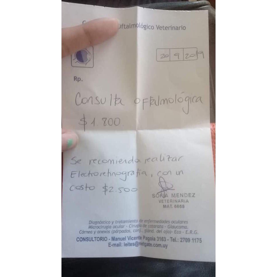 noabandonen_uy's tweet photo. ⚠️PEDIDO DE COLABORACIÓN⚠️
“Necesito premios para hacer una rifa para Taz, perro ciego, necesita ser operado y la operación sale 20 mil, imposible de costear.Por eso necesito hacer rifas, la mayor cantidad posible cosa de juntar lo más que se pueda, hay una madrina que está... https://t.co/D2CySiVO9y
