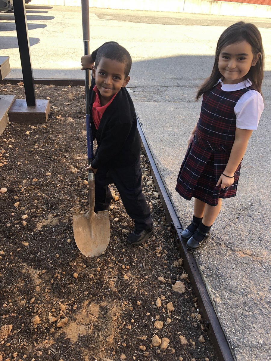 STA_Brookland's tweet photo. Today was a big planting day at St. Anthony! These young ones helped us loosen the soil. #CCAGrows #CCAJoy https://t.co/z4a6C9oZLQ