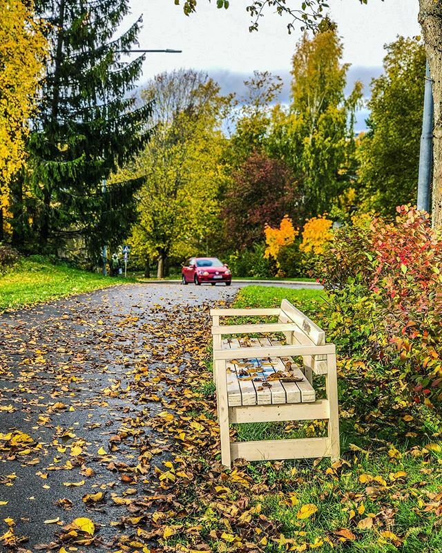 ranjanamedia's tweet photo. 🍂 Autumn 
#Finland #helsinki #visitfinland🇫🇮 #visithelsinki #autumn
 @europefocus 
@europe_moments 
@exploringeurope 
@ig_europe https://t.co/IzdT942pHm https://t.co/sMzqYJT8Hn