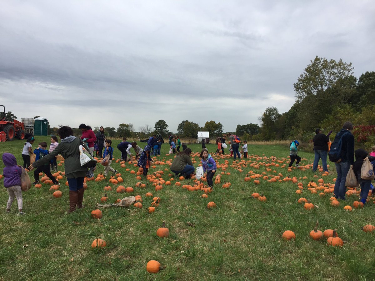laurenemiller95's tweet photo. Stadium Drive kindergarten loves Upland Hills farm! Our kids loved learning about all the animals & work that goes on at the farmβ€οΈππ @uplandhillsfarm #CutestPumpkinsInThePatch https://t.co/E2SZ4K64oh