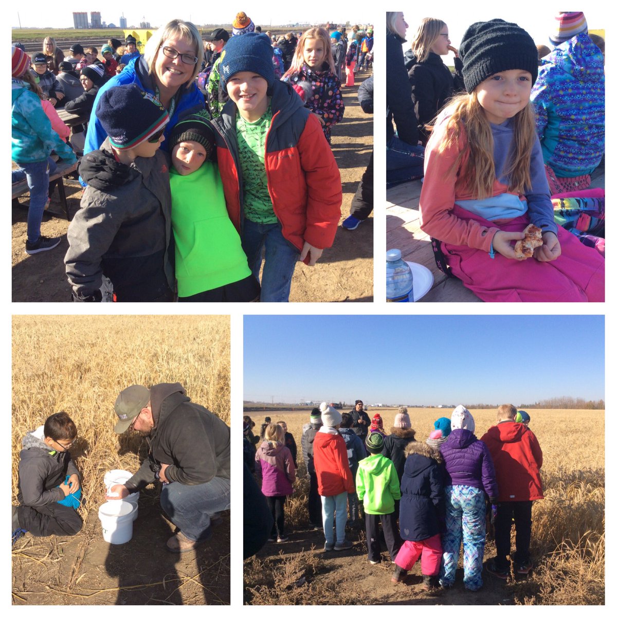 upsgrade4T's tweet photo. Thank you to the NorthWest Terminal and all the volunteers for an awesome day! #harvest #farmingforthefuture #handsonlearning https://t.co/fLv4xX2Sym