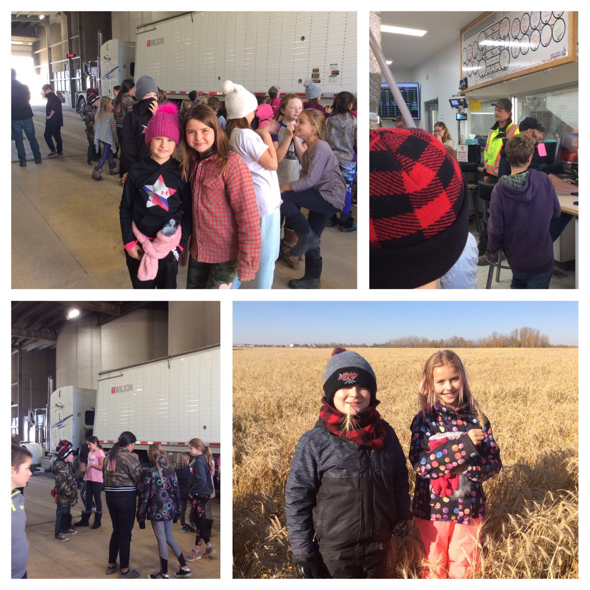 upsgrade4T's tweet photo. Thank you to the NorthWest Terminal and all the volunteers for an awesome day! #harvest #farmingforthefuture #handsonlearning https://t.co/fLv4xX2Sym