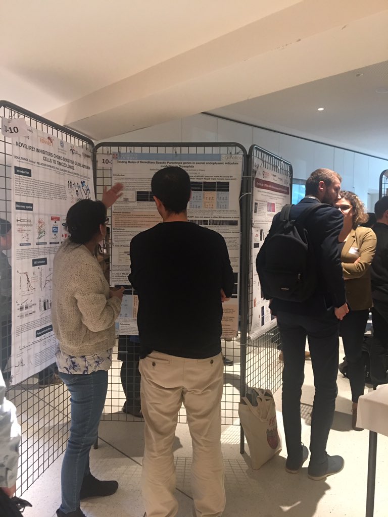zeyzeygen's tweet photo. #OKaneLab in #ERParis19 It was a delightful meeting with a good variety of talks and fun! Membrane Band music was fantastic! @OKaneCahir @ayriaz https://t.co/jCRyawSkJN