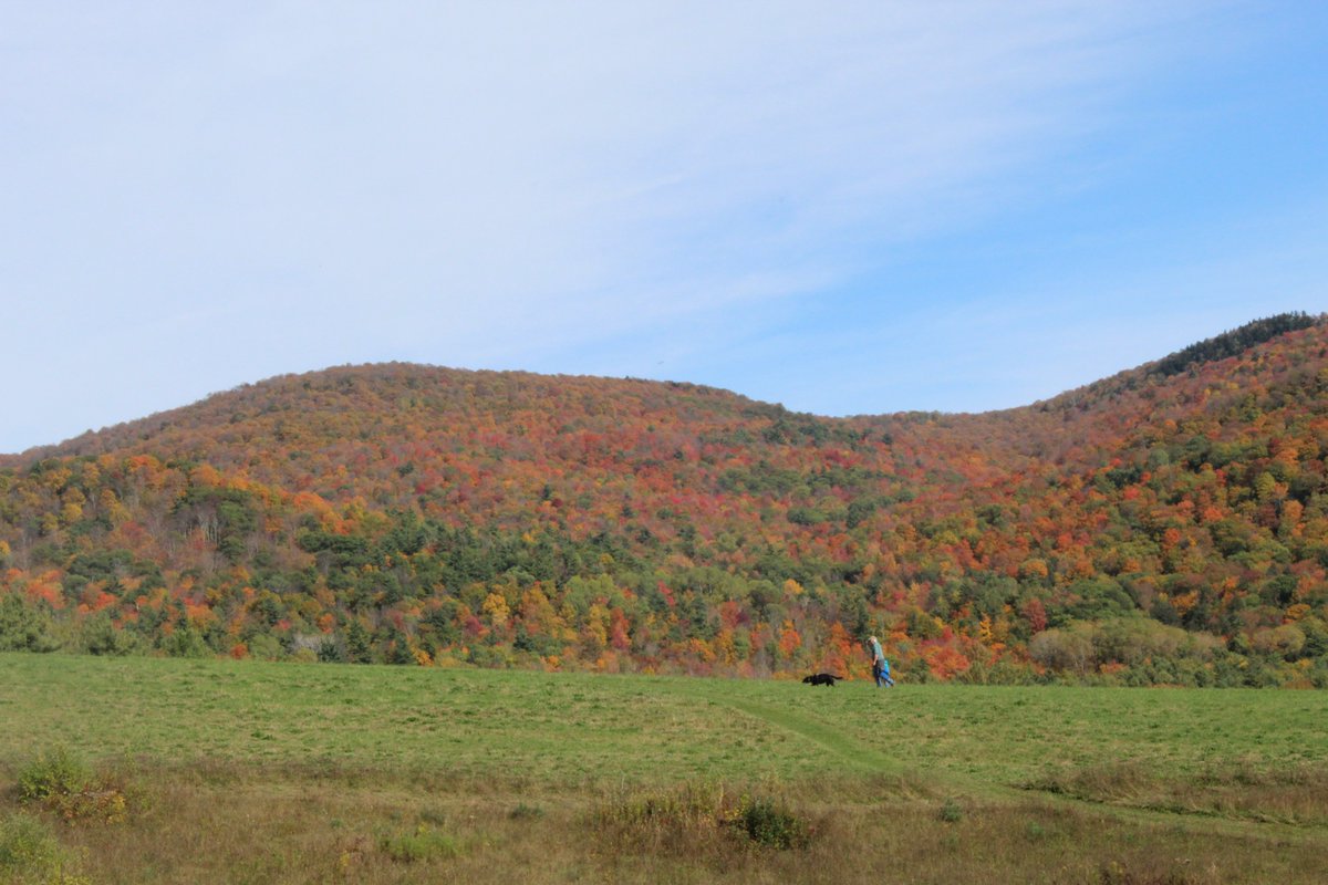 Always a highlight of any week to be with #VTFPR staff checking out recent work: bringing back the best of the old &amp; celebrating the new in <a href="/VTStateParks/">Vermont State Parks</a>, including ADA access renos at Bomoseen State Park &amp; quiet contemplation at Taconic Mountains Ramble State Park. #ThisIsVT.