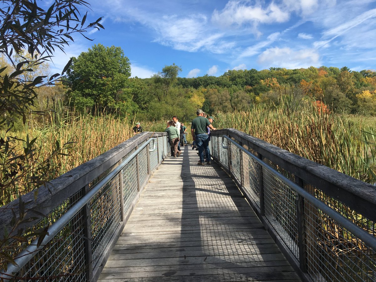 ThisIsVT tweet media