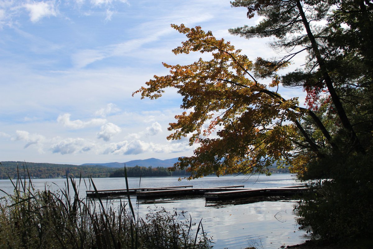 ThisIsVT tweet media