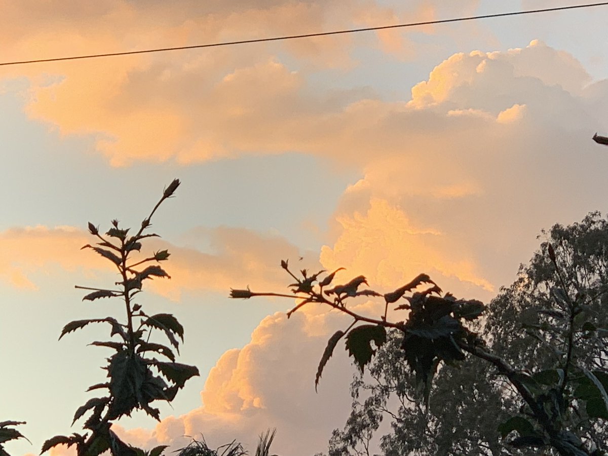 alison_mrice's tweet image. An email from @nhmrc on 12/10/11 said my grant was unsuccessful. This ended my #research career. I was devastated. Now, 8 yrs later, I know it was the door to new opportunities. I loved research but am much happier &amp;amp; probably more successful in my post research career. Thank you