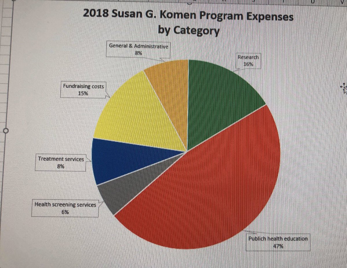 Susan G Komen Spending Pie Chart