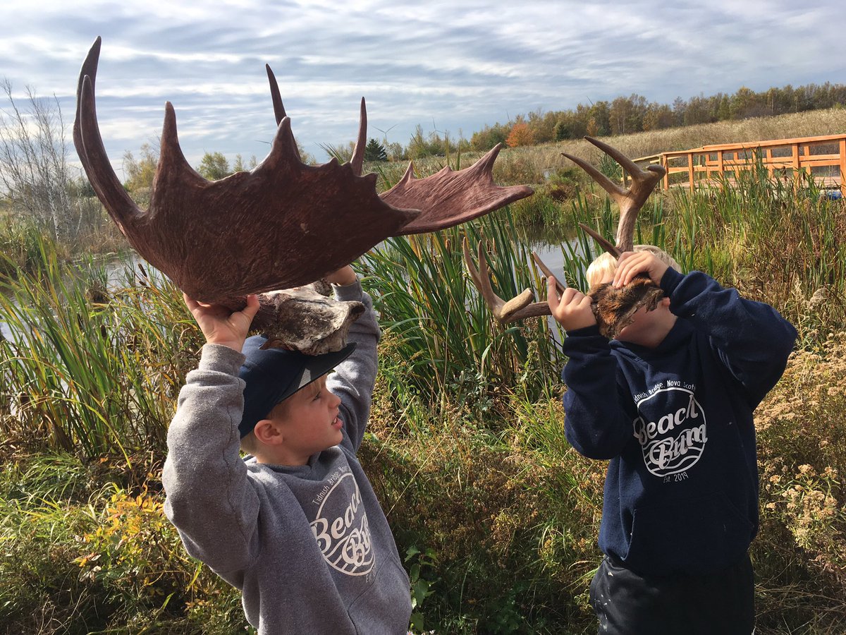 cumberlandcamo's tweet photo. Grade 3 full day trip to test our “school” learned skills in the great outdoors. #Tents, #bearbags, animal and track identification, distress calls, art from nature and #exploring #compass #outdoors #Mindfulness @PHECanada @taphens @CCRCE_NS @asforan @takemeoutside https://t.co/awhtIr4evN