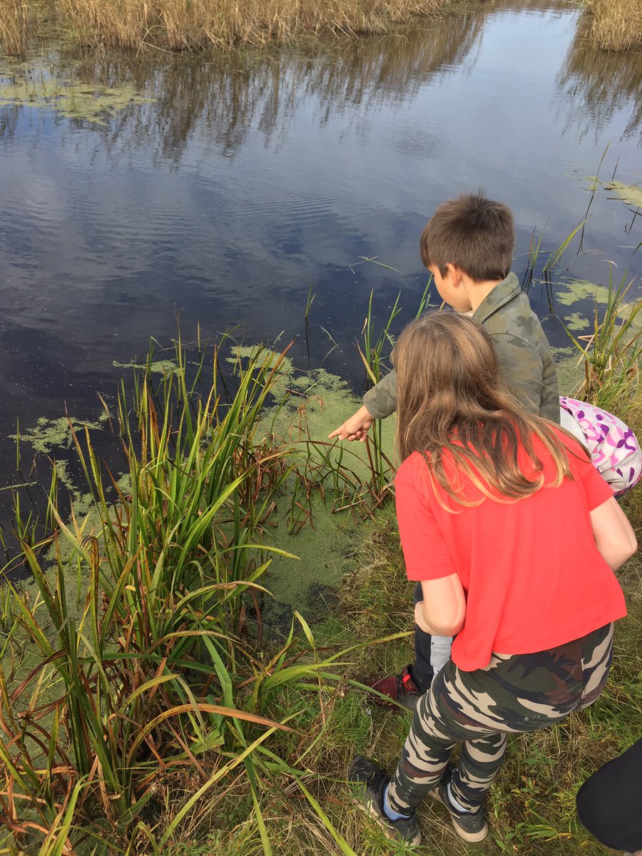 cumberlandcamo's tweet photo. Grade 3 full day trip to test our “school” learned skills in the great outdoors. #Tents, #bearbags, animal and track identification, distress calls, art from nature and #exploring #compass #outdoors #Mindfulness @PHECanada @taphens @CCRCE_NS @asforan @takemeoutside https://t.co/awhtIr4evN