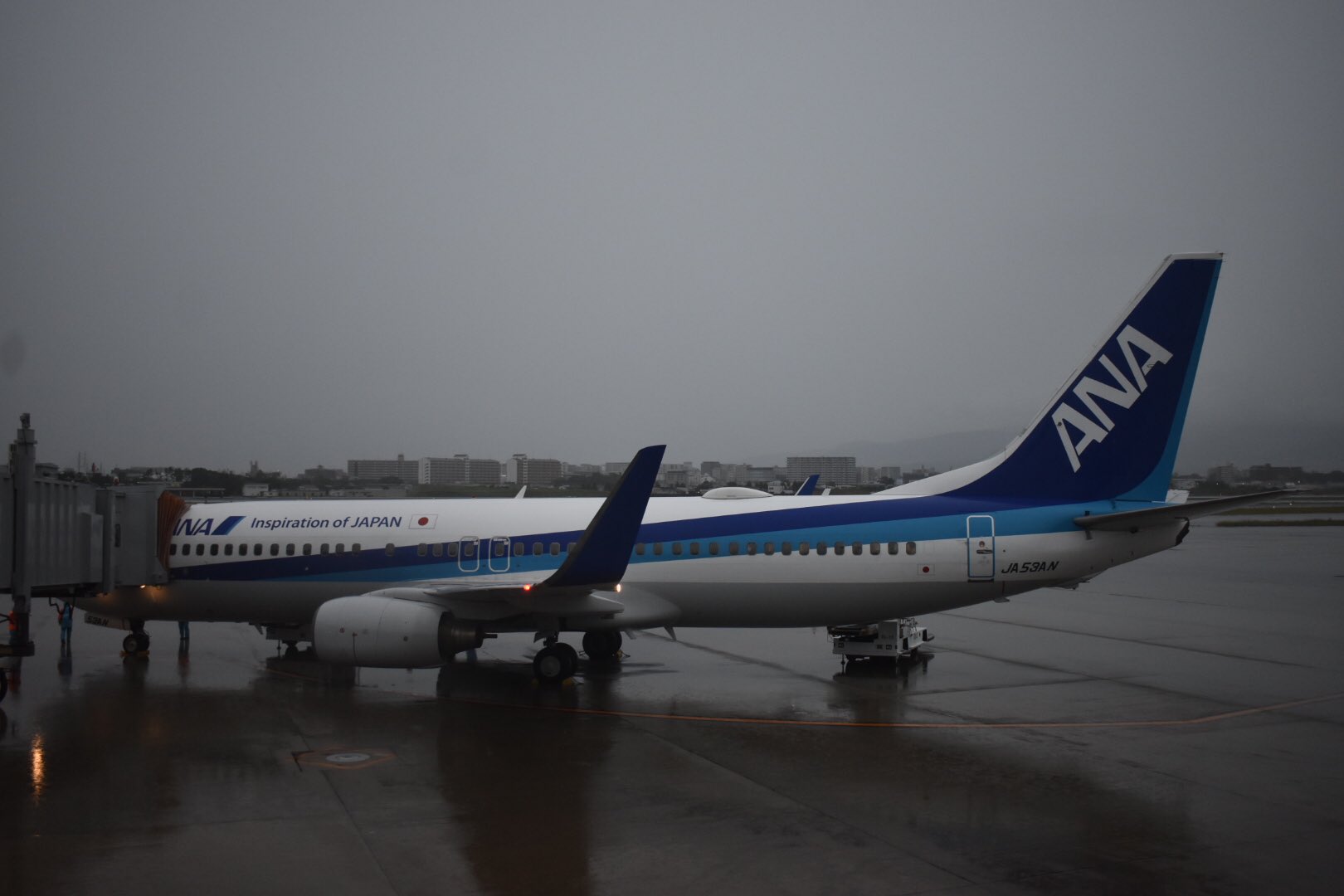 ばふぁろうず 大阪空港7 10 宮崎空港8 15 大阪空港からana501便で宮崎空港へ向けて飛び立ちます 成田から のjetstarが台風19号の影響で欠航となり 大阪に前日入り Ana利用で余計な出費が生じましたが ともかく宮崎入りできそうで良かったです 大阪