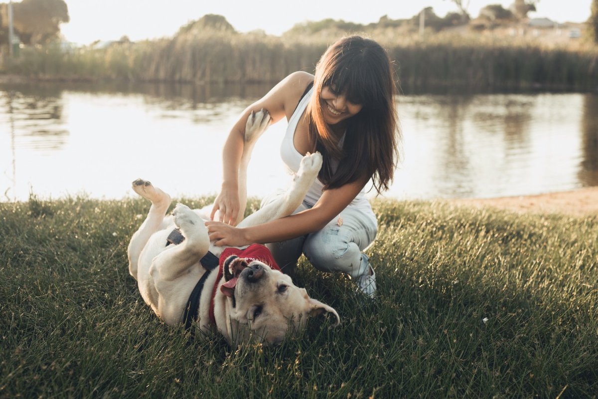 ClubedosAnimais's tweet photo. #Dica2 de treinamento para seu cão – Seja generoso com seu carinho

A maior parte das pessoas não têm problemas em demonstrarem estar tristes com seus cães, mas acabam esquecendo das coisas boas. Grande erro! Tenha certeza de dar muita atenção ao seu cão quando ele estiver faze https://t.co/U8bNmRI4sL