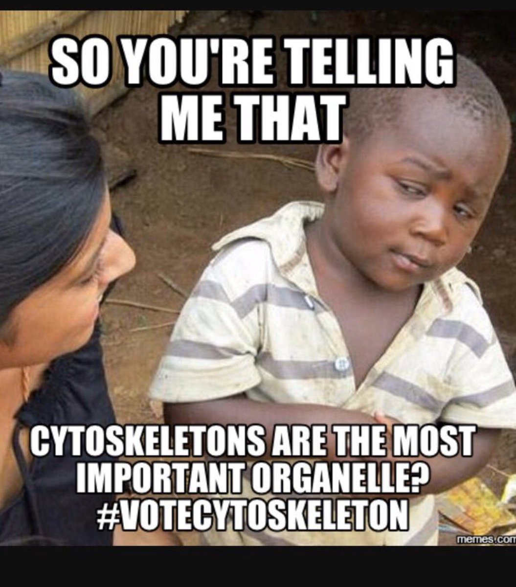 Cytoskeleton221's tweet photo. @Bio2019Frazee #organellewars https://t.co/Kllntd4Um1