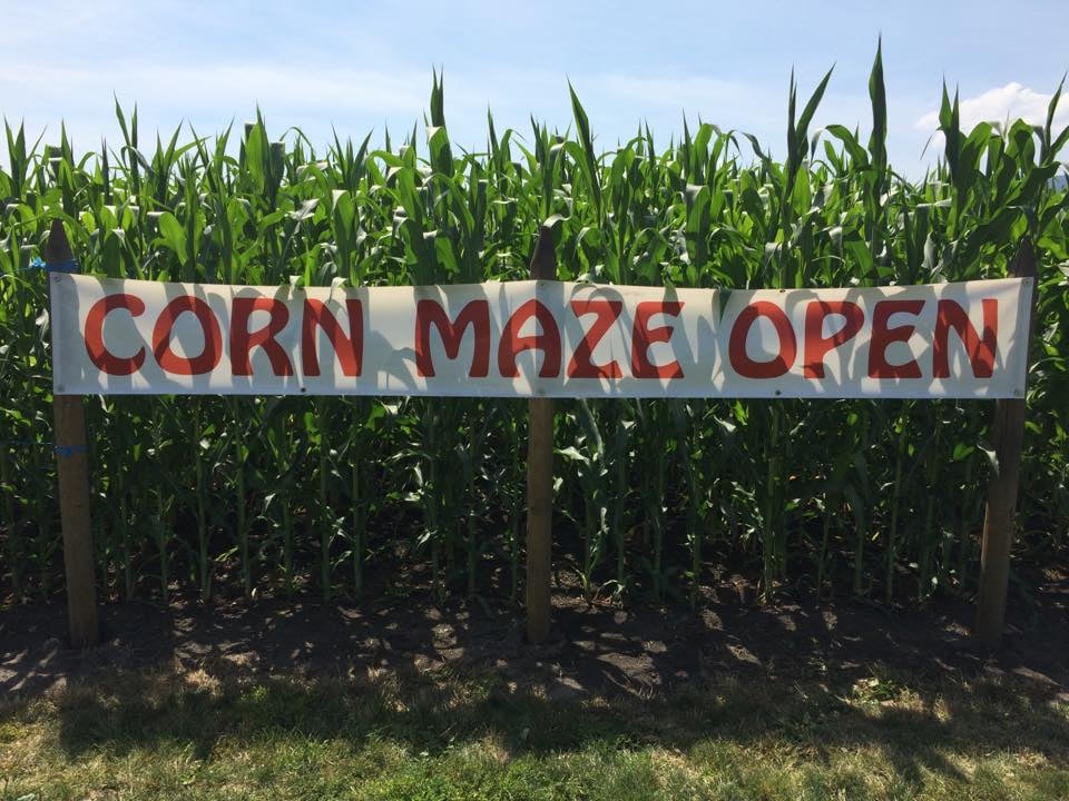 FestivalSeekers's tweet photo. What do you get when you combine a haunted house with a corn maze? https://t.co/cOelc7xTnm
#FieldOfScreams at historic @OKeefeRanch in #VernonBC goes until Oct 28.
#OkanganExploring @TourismVernon #ExploreVernon #ExploreBC @HelloBC #Halloween #FallFestival #VernonInTheFall https://t.co/YsGBYyokat