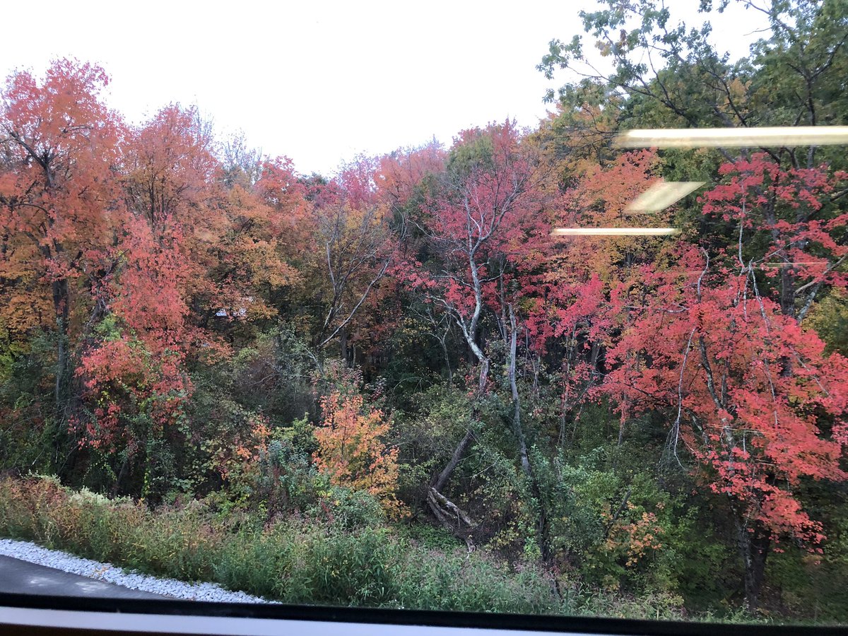 mssooch7's tweet photo. Room with a view. #parkerpride #fallinNewEngland https://t.co/PTYjfL3P5J