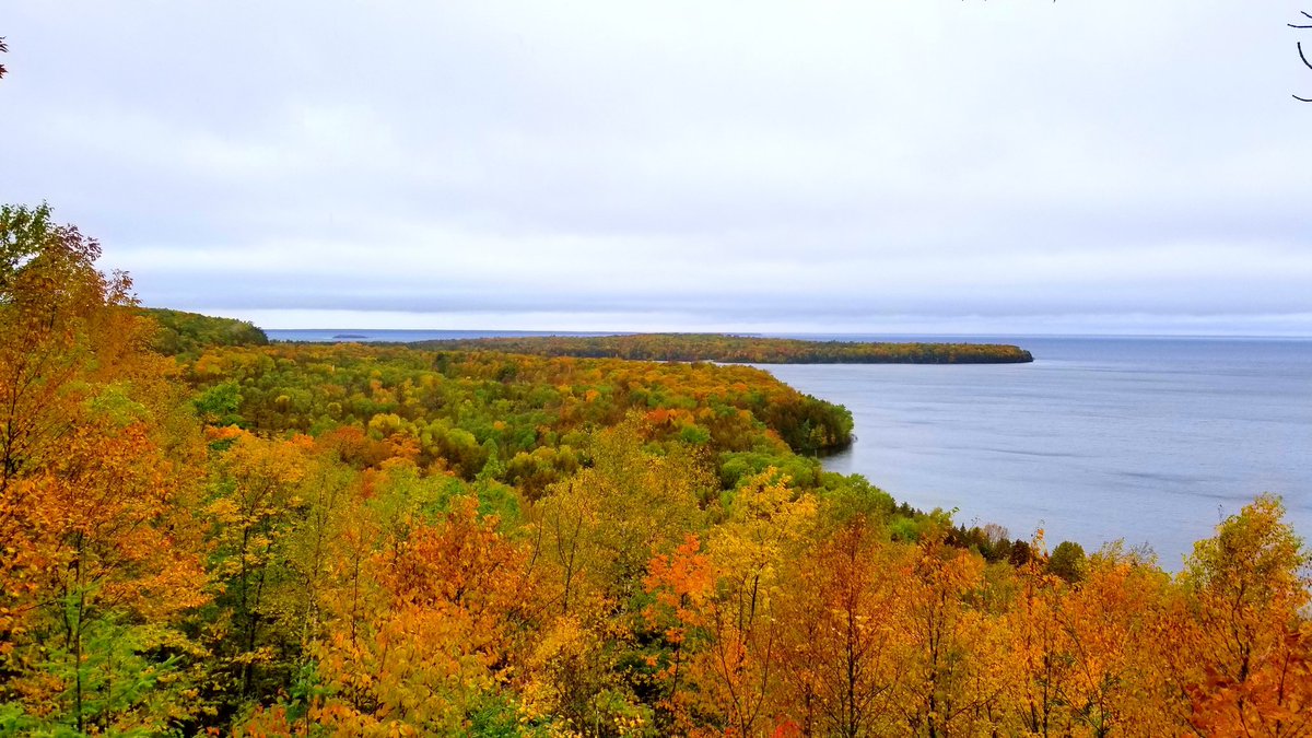 DCTrolley's tweet image. The Fall Color in Door County is here! Come see us on a Narrated Scenic Tour to get the full experience! #DoorCounty #FallColor #TrolleyTour #dingding