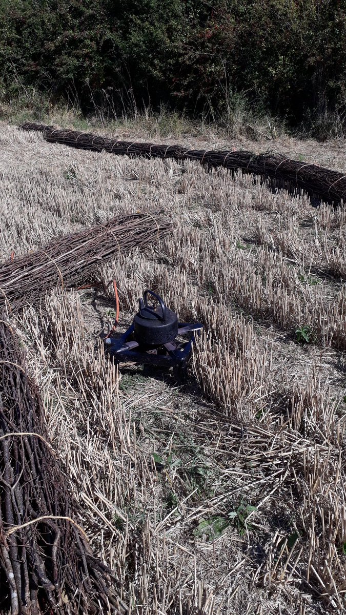MarthaCrockatt's tweet photo. #fascines destined for our #soil erosion prevention trial were also handy seats during tea break. Got to love people this prepared for fieldwork! @Wood_n_Water @lovesmallwoods #FieldworkFriday https://t.co/kFR8o6yGj0