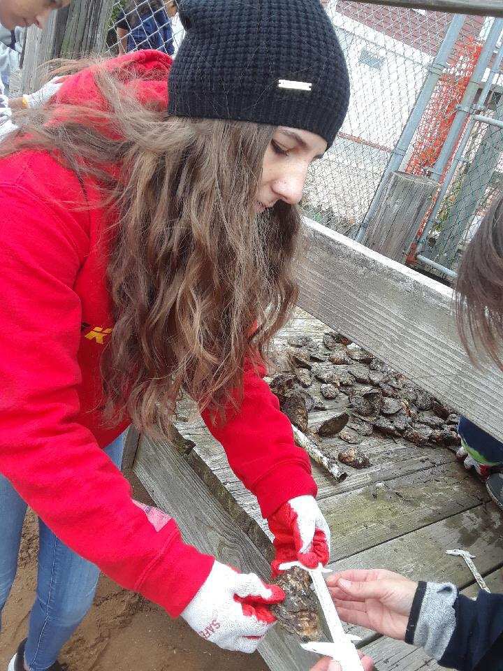 GaynorMcCownELS's tweet photo. So proud of our students for participating in our annual Day of Service. The Billion Oyster Project #makeamarkmakeadifference @NYCSchoolsHSN12 @NYCOutwardBound @SIBOD31 https://t.co/bYXLDSDJ0L