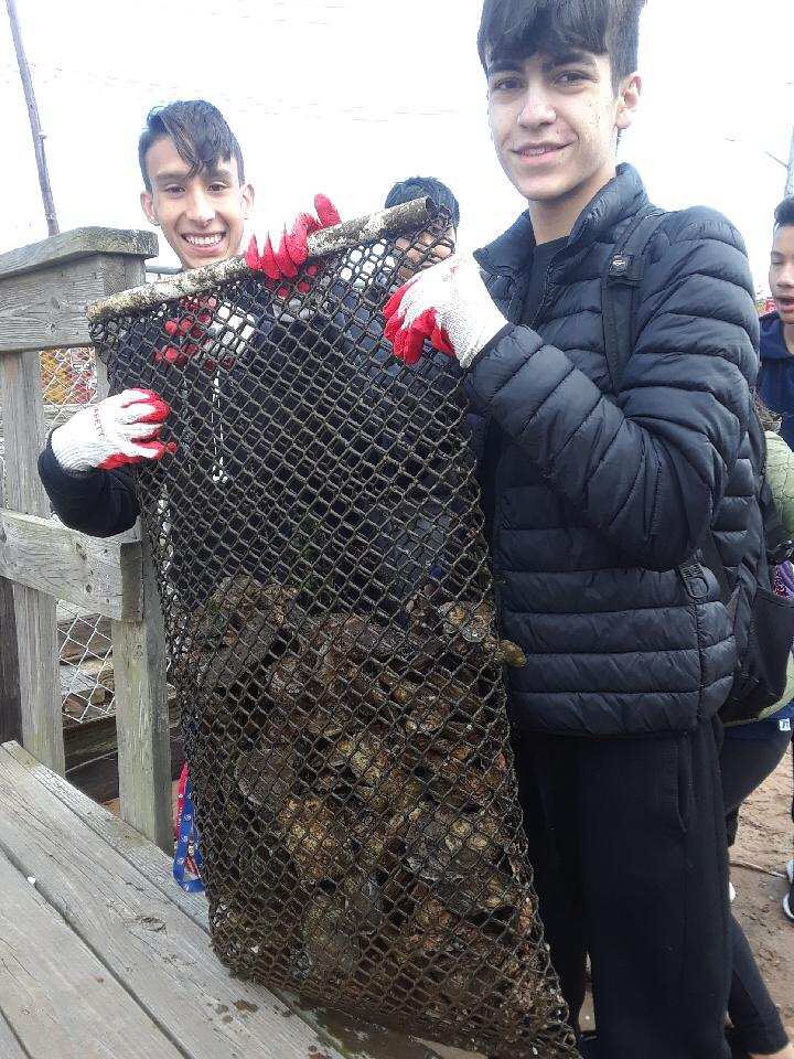 GaynorMcCownELS's tweet photo. So proud of our students for participating in our annual Day of Service. The Billion Oyster Project #makeamarkmakeadifference @NYCSchoolsHSN12 @NYCOutwardBound @SIBOD31 https://t.co/bYXLDSDJ0L
