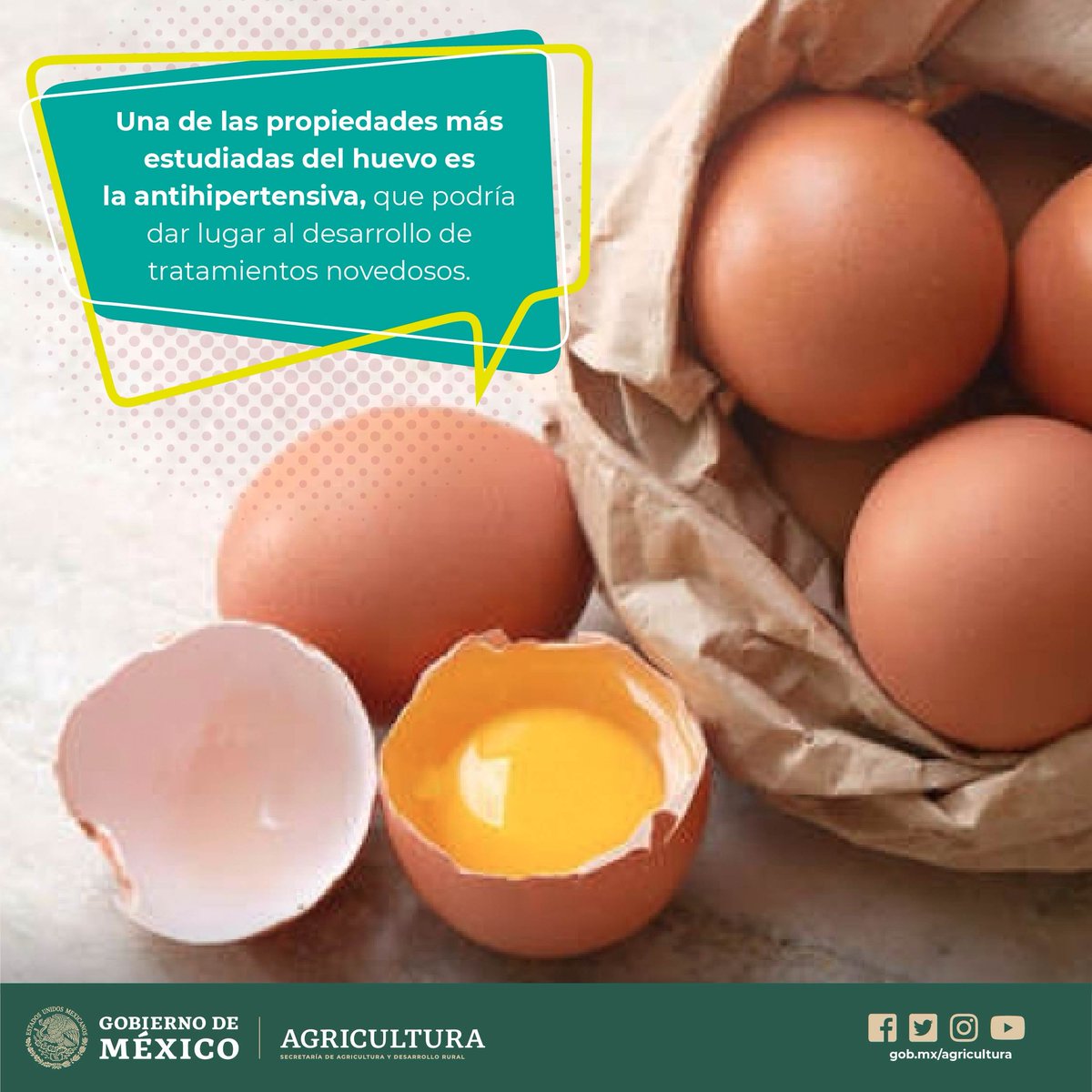 Diversos estudios en salud han concluido que comer huevos puede reducir el riesgo de enfermedades cardíacas en personas sanas, a pesar de su contenido de colesterol.
