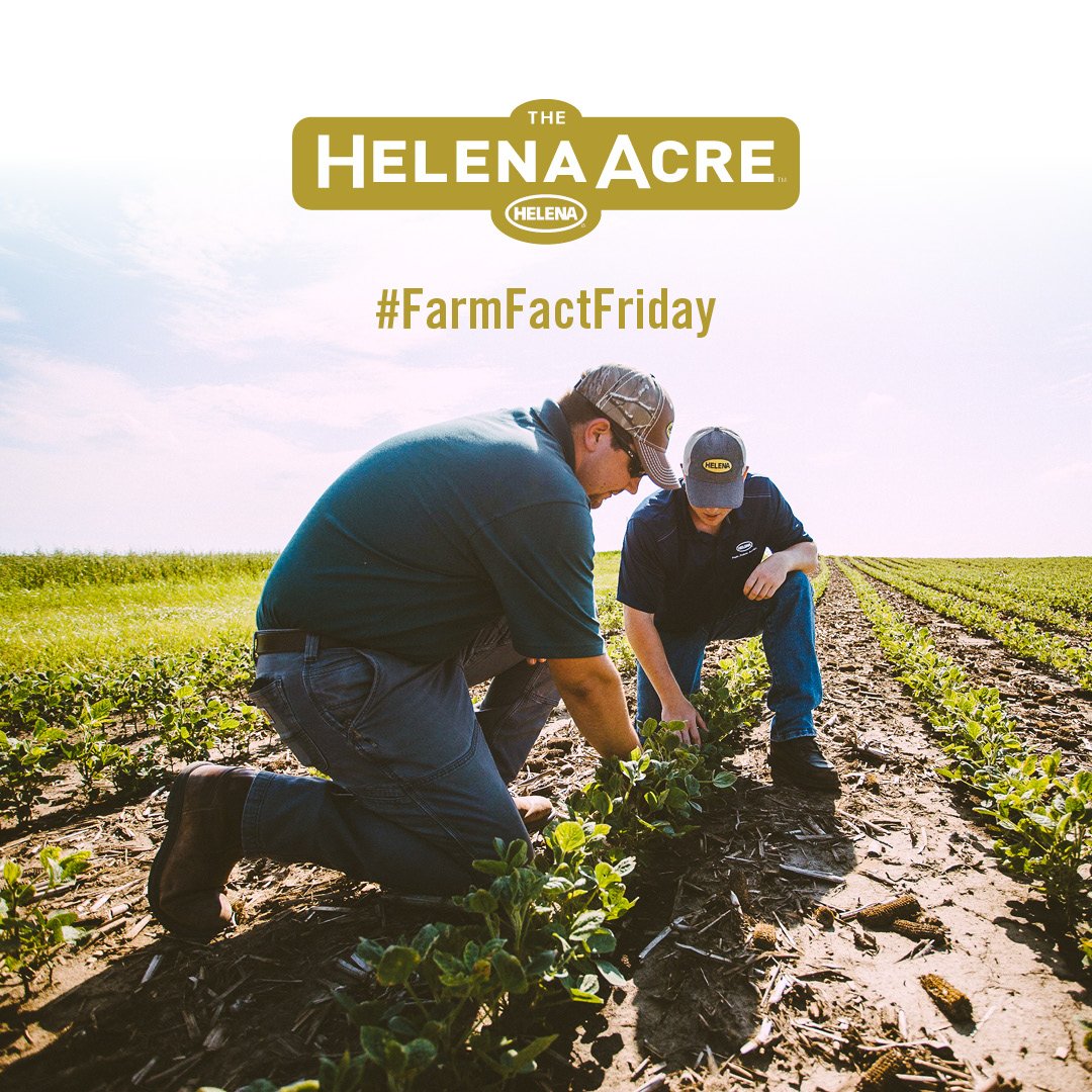 Helena AgriEnterprises on Twitter "DidYouKnow our Helena