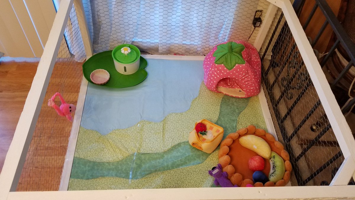StrawberryEwok's tweet photo. Sorry there have been so few posts, my social media mom has been hard at work decorating my strawberry patch. A new sewn cloth floor, with a removeable vinyl, and some art and decor! Hope everyone's having a good start to their October! #FridayFeeling #decoration #StrawberryEwok https://t.co/7F5BzRK1Ck