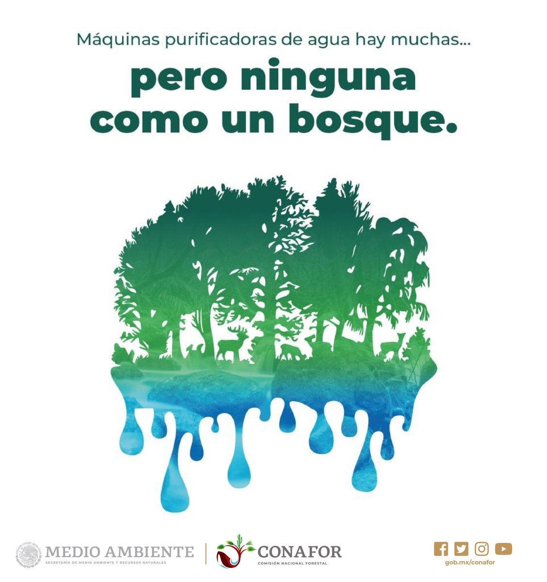 CONAFOR's tweet photo. Los bosques son fábricas de agua. En ellos se capta el agua de lluvia, pero además la purifican. 
Además, de que los árboles embellecen el paisaje, aminoran los ruidos y disminuyen la contaminación 🌳💦☔️🌈 https://t.co/8XryMnvzax
