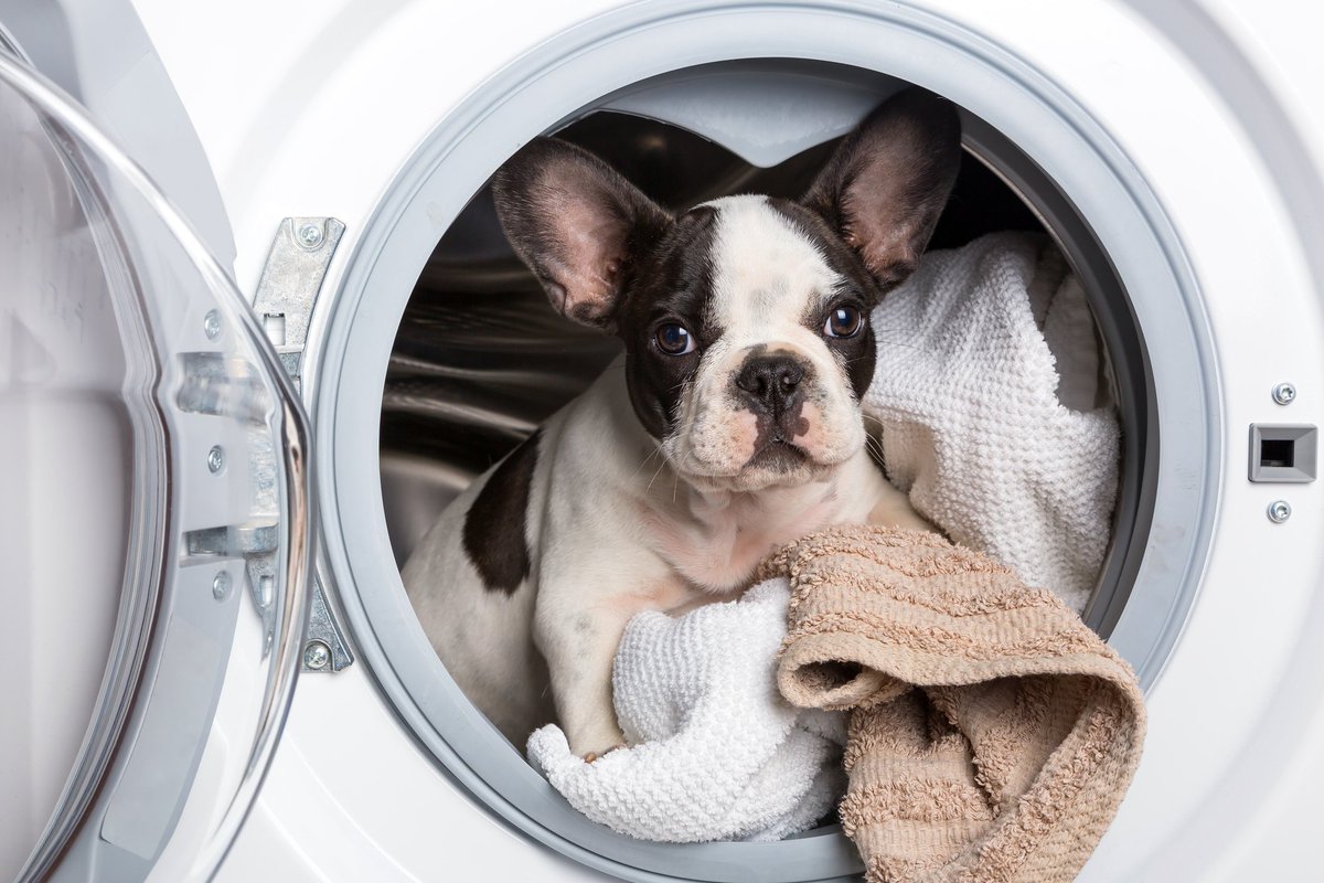 TheJoeLofts's tweet photo. Spill a little something on your shirt? You will have an in-home washer and dryer to keep you looking fresh when you’re here! https://t.co/IIUDD2tP73 https://t.co/uNg9EdBplN