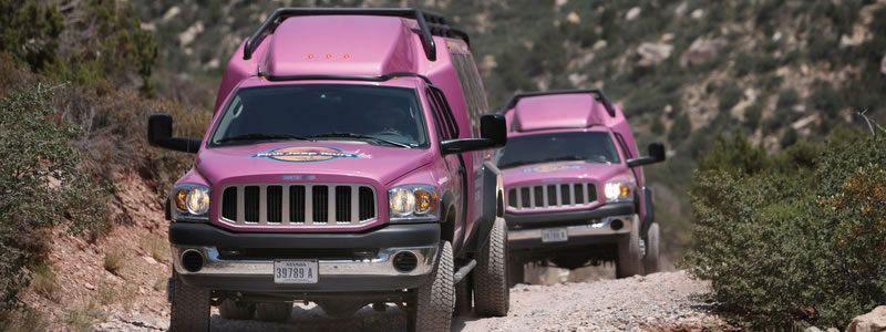 Go Vegas Yourself tweet media