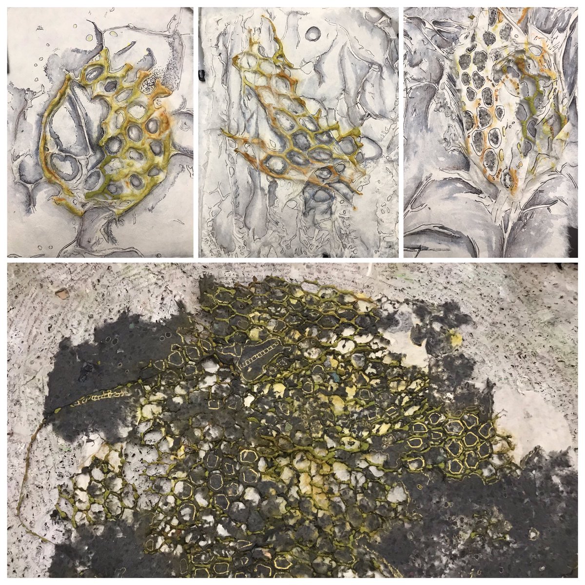 TracyWelling1's tweet photo. My drawing class is agitating but it really pushes me to dig deeper into how and why I create. #Specimens #drawing #sculpture #textiles https://t.co/IGiKDdGFVf