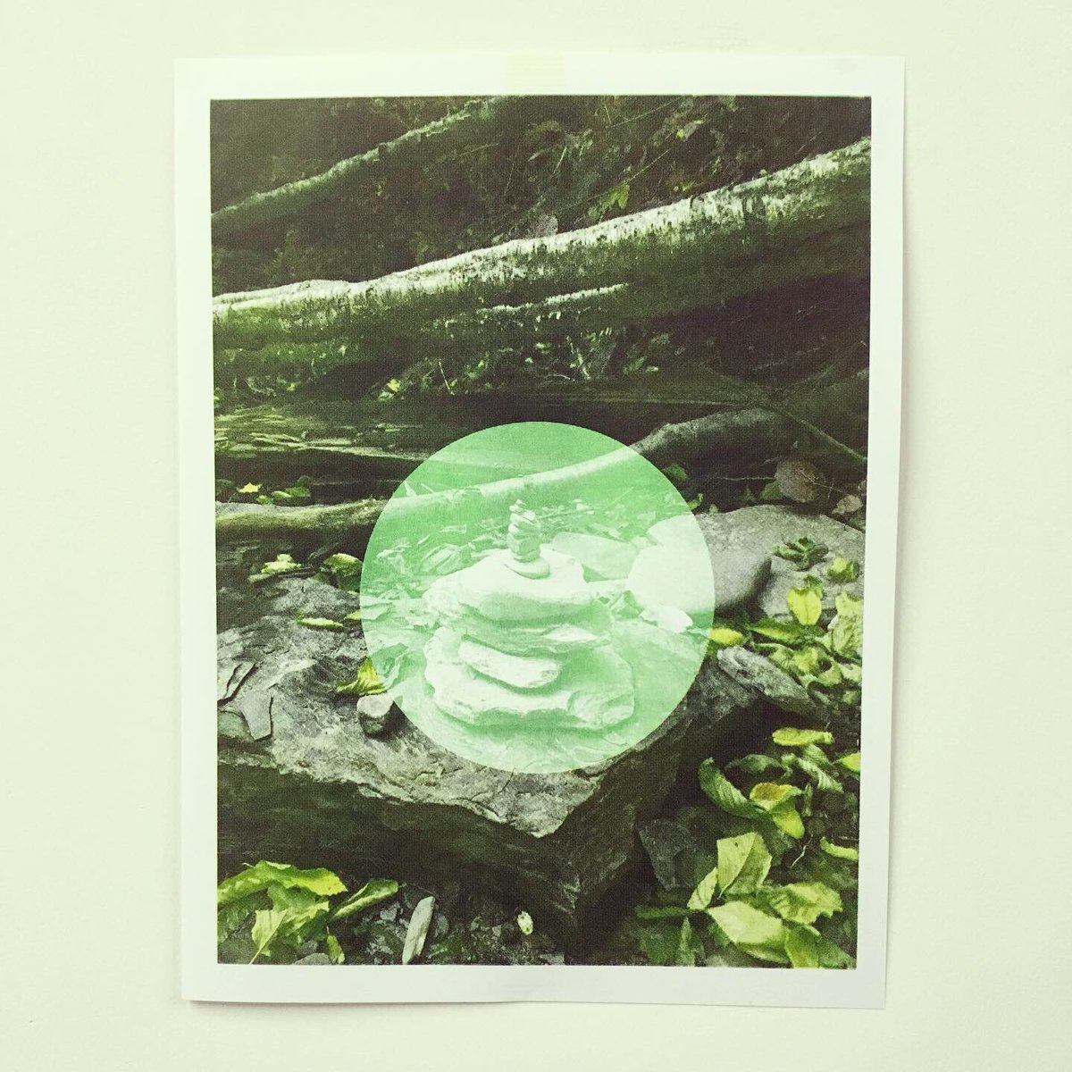 megancharland's tweet photo. Finished a new Riso print tonight - and just in time for the #RSPBF at @VSWnews tomorrow. I love how this came out! ✨🖤🌿 To watch the printing process in action: https://t.co/CXBCMtJNxT #roc #rochesterny #risoprint #risograph #mccccstudio #thehungerford #risoprinting https://t.co/7XVLq15aBO