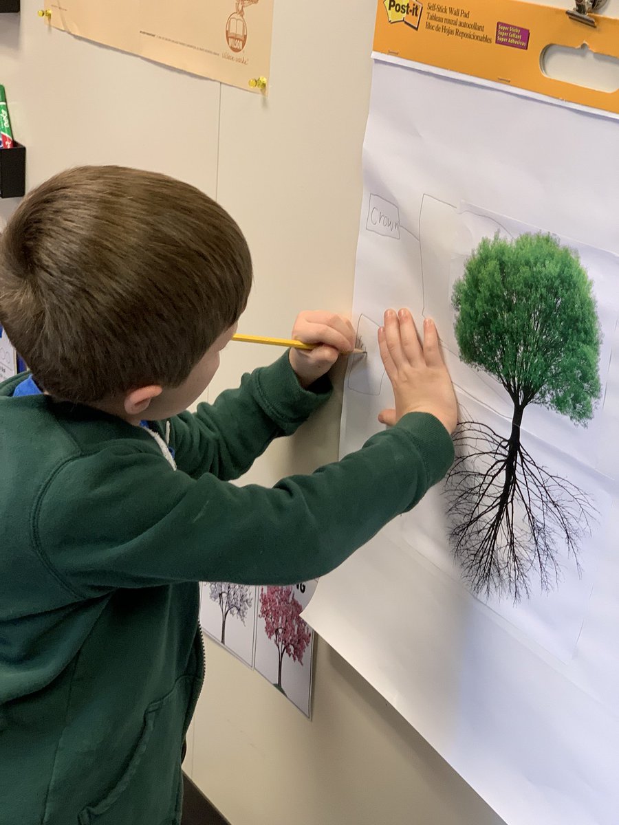 Ayanna Saunders tweet media