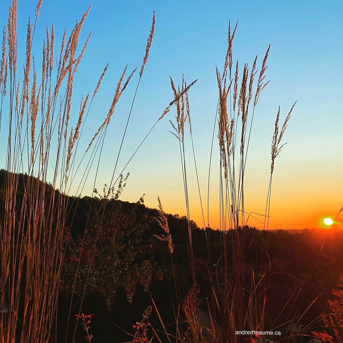 Tada- A new Playlist just in time for the weekend featuring <a href="/AlexCuba/">Alex Cuba</a> <a href="/lettucefunk/">Lettuce</a> <a href="/sinopoulos_s/">Sokratis Sinopoulos</a> <a href="/TINARIWEN/">TINARIWEN</a> <a href="/Lopezmusique/">Roberto López</a> <a href="/haroldlopeznuss/">Harold Lopez-Nussa</a> <a href="/YelfrisValdes/">Yelfris Valdes</a> Une Nouvelle Playlist pour votre bonheur d'écoute🎼⬇️⬇️
andrerheaume.ca/2019/10/10/clo…