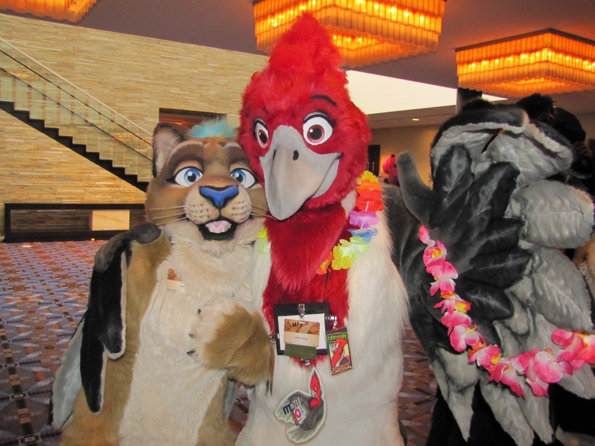 Sarakazi's tweet image. Gonna throw back to #MFF2013 for this #FursuitFriday. Hanging out with the @FurrHappens crew. Miss you guys! @Manu_Koa @EMTShibe @mr_lean @Silverhusky