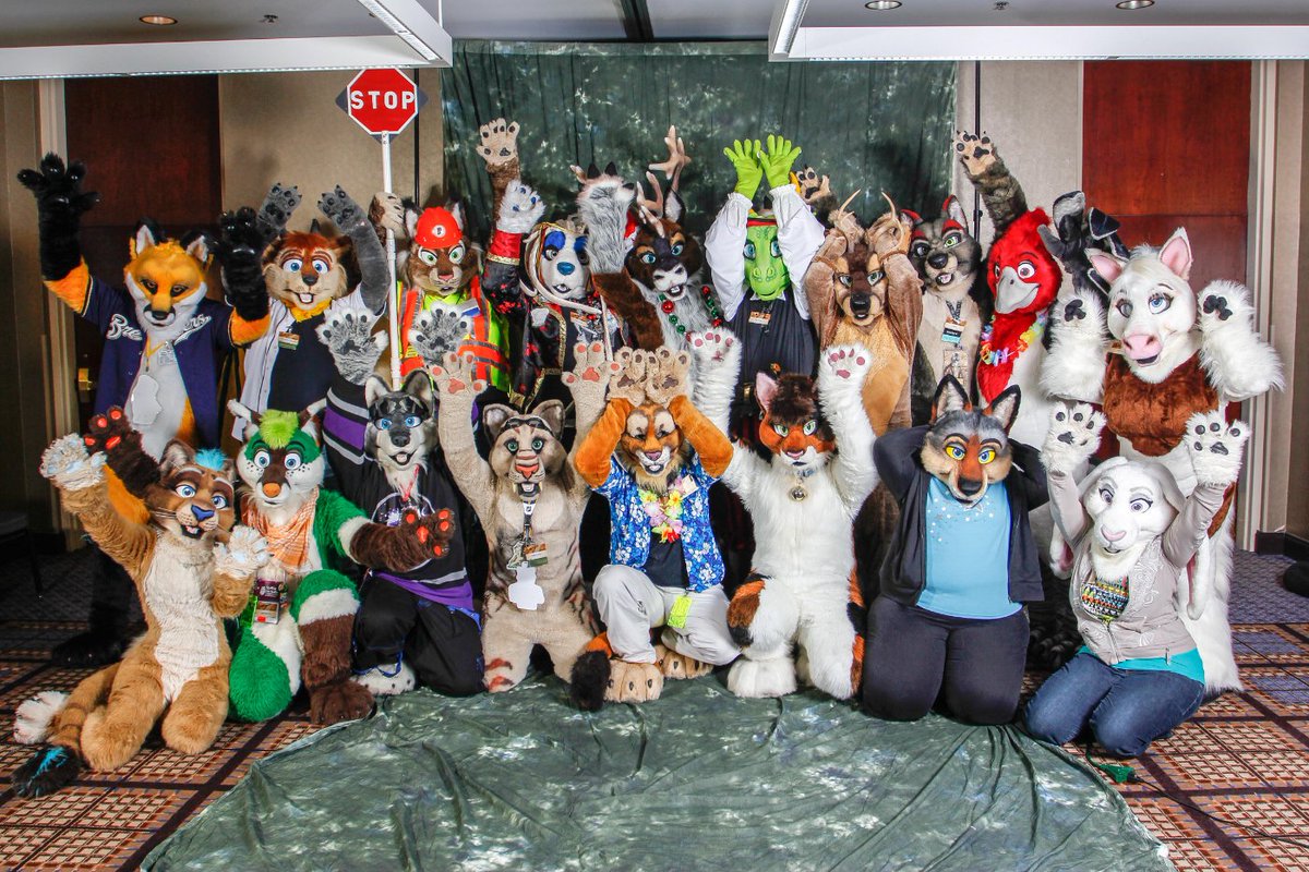 Sarakazi's tweet image. Gonna throw back to #MFF2013 for this #FursuitFriday. Hanging out with the @FurrHappens crew. Miss you guys! @Manu_Koa @EMTShibe @mr_lean @Silverhusky