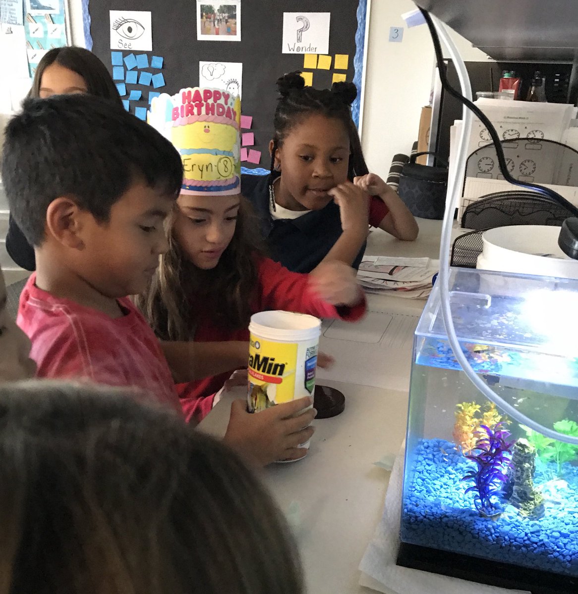 We have a kind of fish expert here who is teaching us how to care for and feed our new guppies. He and his dad have hundreds of beautiful fish at home. Thanks, Buddy! 🐟🐠🐡⁦<a href="/StrawberryIB/">Strawberry Hill, an Extension of RIS</a>⁩ #allhandsondeck