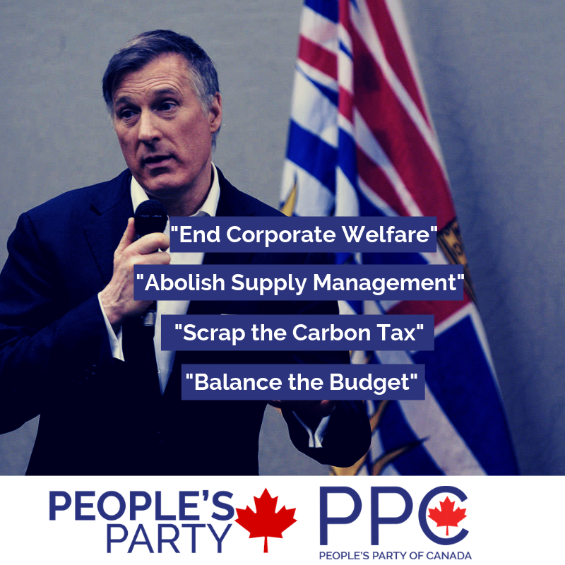 peoplespch's tweet photo. We will save 5 billion from Corporate Welfare. 

We will help Canadian consumers.

We will scrap the carbon tax, without a hidden price on carbon. 

We will balance the budget in 2 years.

#cdnpoli #bcpoli #canada #chilliwackbc #chilliwack #hope #PPC2019 #elxn43 https://t.co/Ad25cFG4WH