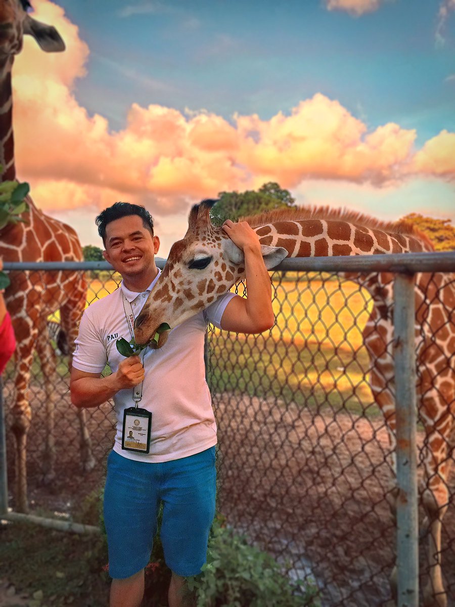 KuyaPau34's tweet photo. Encountered  this little gentle giant awhile ago

#AmbassadorOfGoodWill #tourguide #accreditedtourguide #coronturnsmygoodvibeson #Calauit #calauitsafari #thankful #ohhappyday https://t.co/UaTdaS3mcM