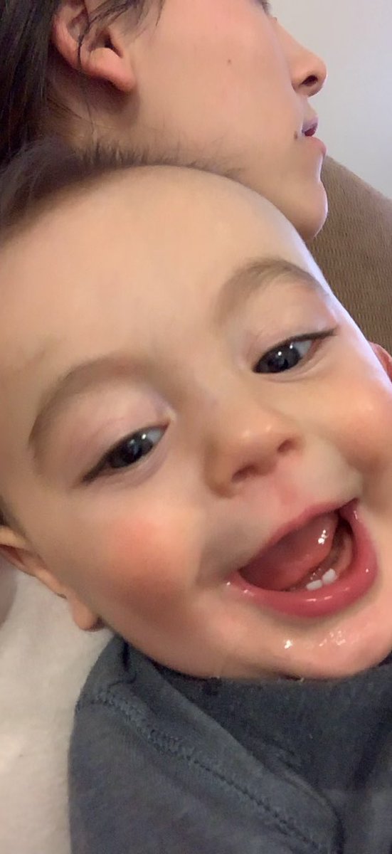 _kaitlyngrant's tweet photo. hi everyone, enjoy these cute toothy pictures of my precious riggsy boy https://t.co/Z96DAXA5wb