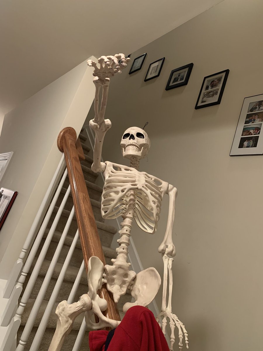 kspangle57's tweet photo. Fred was so busy sliding into the weekend he almost forgot to tweet today! #31DaysOfFred #Fredtober https://t.co/8En2BQW1dH