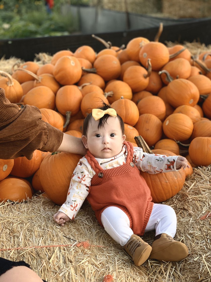 Natachona1's tweet photo. My pumpkin patch baby 🎃🌻♥️ https://t.co/xukZxKUTTV