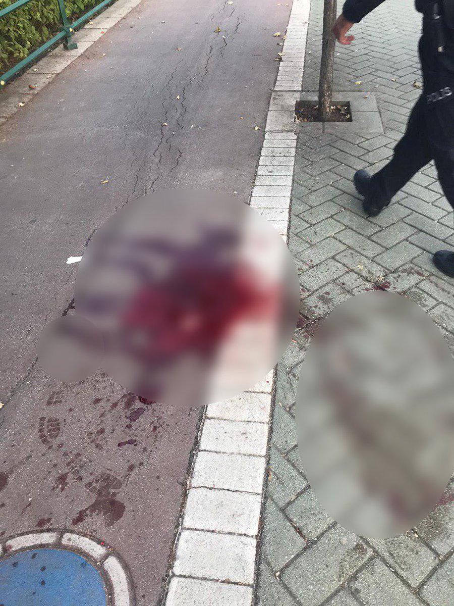 Bir Emine Bulut vakası daha...
"Ölmek istemiyorum" diye haykırdığı bir videosu olmadığı için fazla gündem olmayacak ama; Eskişehir'de bir psikopat, sokak ortasında eşinin kafasını satırla kesti