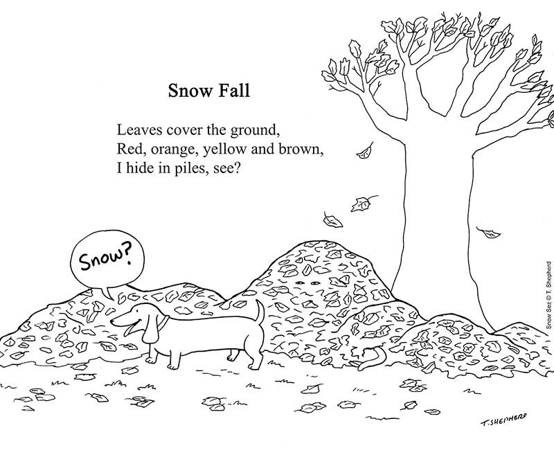 snowsez's tweet photo. One of cats' greatest powers: Ability to be stealth like a ninja 👀 😸#AutumnInvisibilitycloak 🍂😂
#FridayFallFlashback
#stealth #stealthcat #cathiding #fallleaves #fallhaiku #autumnhaiku #snoku #catsuperpowers #zencat #cat https://t.co/ov5eqAfOw1