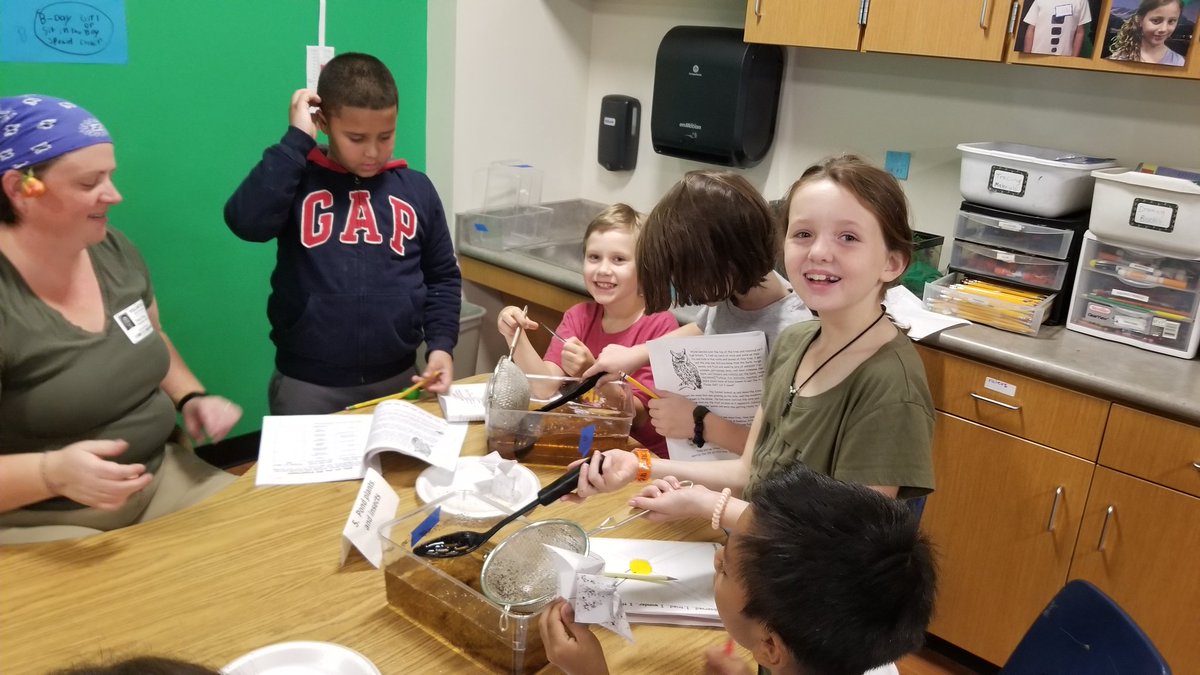 We simulated birds' beaks using different tools and discovered different birds need different beaks to help them eat their food. <a href="/lincolnk8school/">Lincoln K-8 District-Wide School</a> @lincolnk8graff