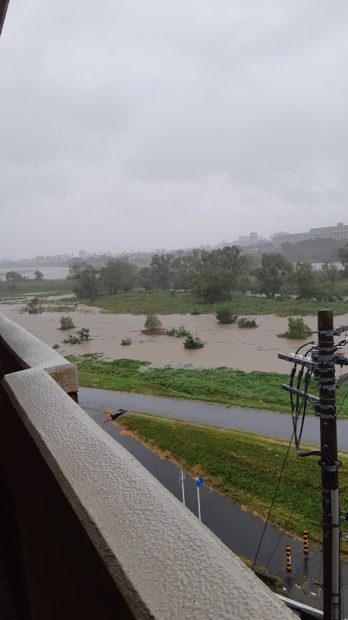 もりデス 今の多摩川 これは確かにやばい訳だわ さっさと避難するぜ 台風19号 多摩川氾濫 もりデス 今の多摩川 これは確かにやばい訳だわ さっさと避難するぜ 台風19号 多摩川氾濫